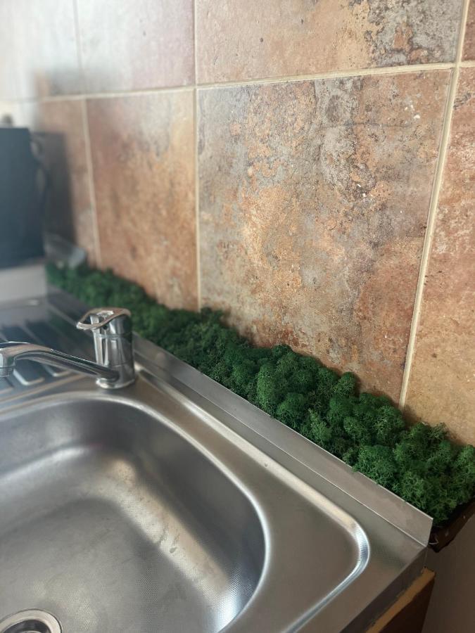 Anissia Apartament Lägenhet Sinaia Exteriör bild