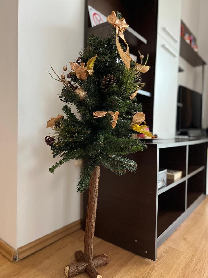 Anissia Apartament Lägenhet Sinaia Exteriör bild